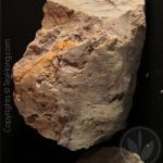 Clay ore of duan-ni