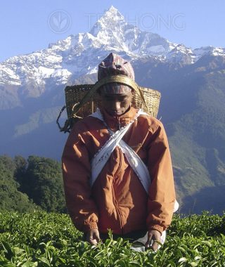 Nepal, the Himalayas