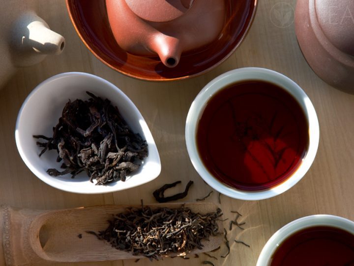 The Peculiar Category of Pu’er