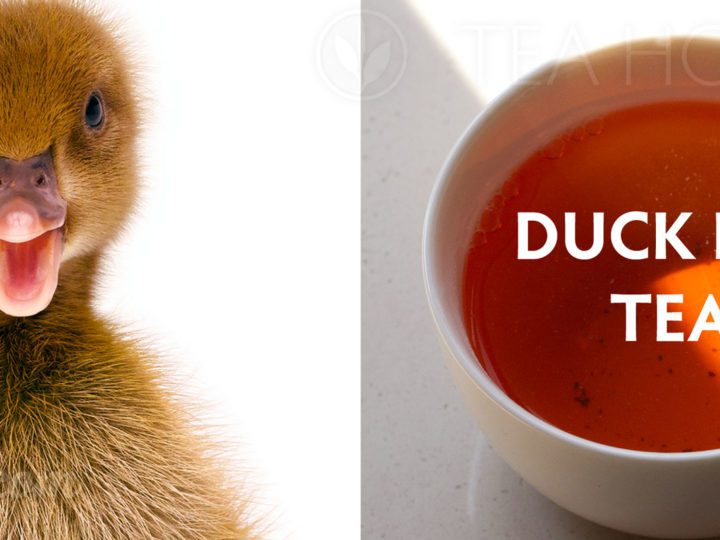 Seriously is there a Duck Poo Tea?