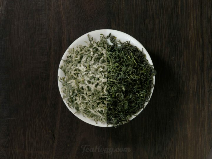 How to choose a green tea?