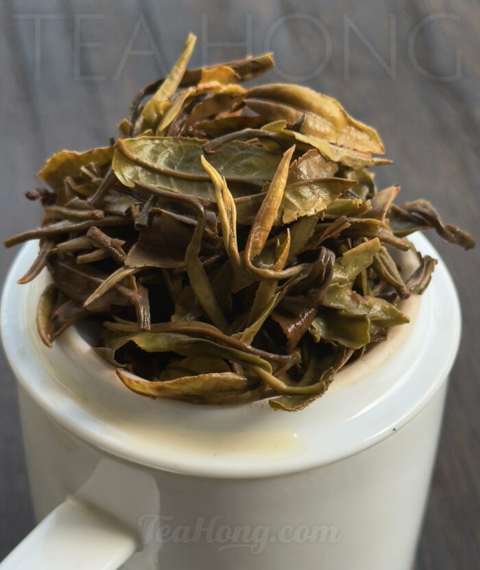 Infused leaves of Moon Drops Himalayas white tea