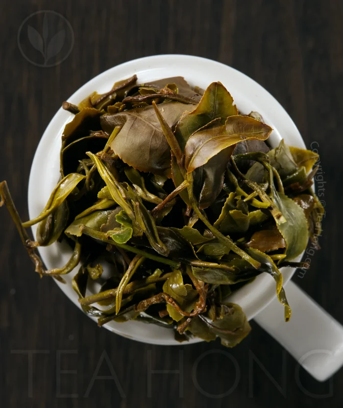 The infused tealeaves of GABA Bouquet clearly exhibit all the gradual and slight oxidation of a deeper oxidation white tea
