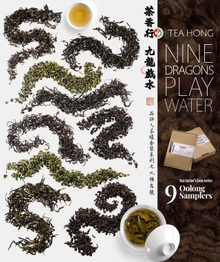 9 types of oolong teas each formed into a dragon, posed around a teacup and a tea gaiwan filled with tea.
